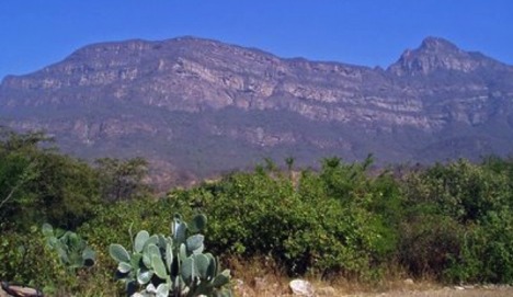 Chaparrí