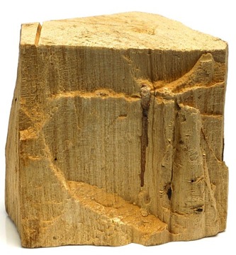 palo santo