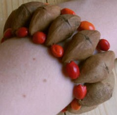 A schacapa nut bracelet.