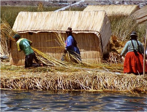 Uros
